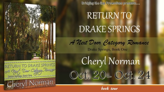Return to Drake Springs Tour Banner